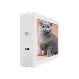 55 inç Dijital Tabela Ekranı Duvara Monte / Dijital Reklam Monitörü